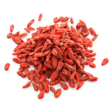 Free Sample 750granule/50g Goji Berry With Best Price